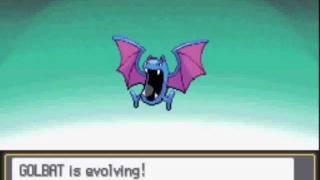 Pokemon Heart Gold : Golbat evolving to Crobat at level 26