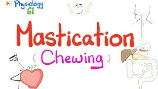 Mastication (chewing) | | Mastication Reflex | Gastrointestinal Physiology.