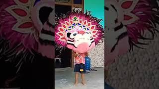 barongan pink!! werdoyo demak