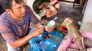 BiBi & Dad find a way to treat ticks and lice for dogs