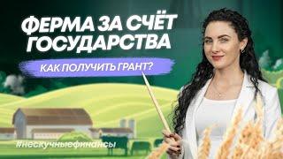 Как получить деньги от государства на развитие сельского хозяйства в 2023 году?