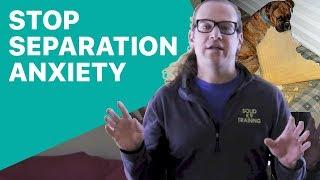 Separation Anxiety Can be Stopped - Solid K9 Training