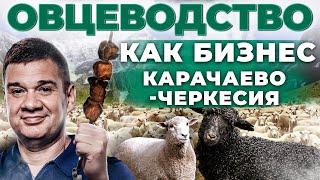 Как сделать Бизнес на Баранине? Путешествие в Карачаево-Черкесию | Андрей Даниленко