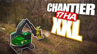  CHANTIER FORESTIER XXL - Feller BUNCHER 3 PORTEURS DÉBUSQUEUR !