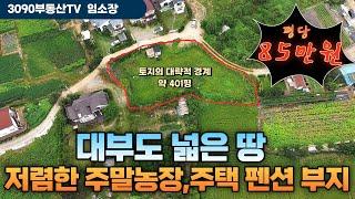 대부도 저렴한 주말농장 넓은 땅 매매/대부도임소장/3090부동산/(매물번호 967 )