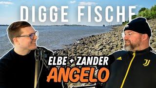 Angeln in Hamburg - Insider Tricks vom Zander-Guru Angelo Aykurt | Podcast DIGGE FISCHE #001