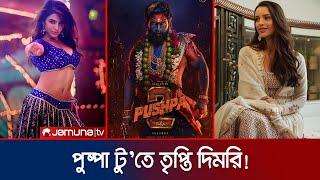 এবার 'পুষ্পা: দ্য রুল'র আইটেম গানে নাচবেন তৃপ্তি দিমরি! | Pushpa:The Rule | Tripti Dimri | Jamuna TV