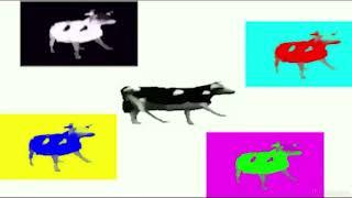 Dancing Polish Cow at 4am 1 hour version original
