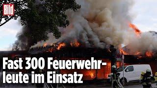 KEMPTEN: Großbrand im Autohaus