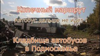 Кладбище автобусов в Подмосковье. Конечный маршрут