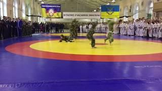 Акробатика.Показательные выступления. Рукопашный бой.