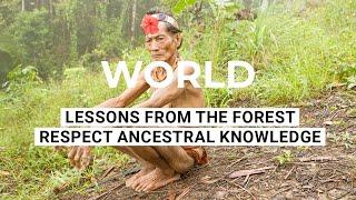 What can we learn from the forest? Respect Ancestral Knowledge