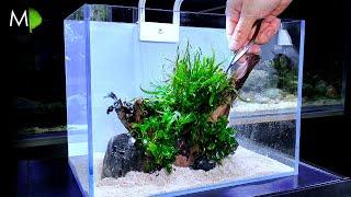 Aquascape Tutorial: ‘Clarity’ (How To: Full Step By Step Guide, Planted Nano Aquarium)