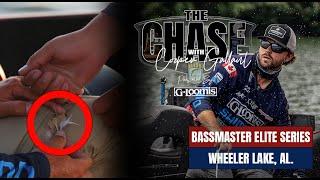 Bassmaster Elite on Wheeler Lake | THE CHASE With Cooper Gallant