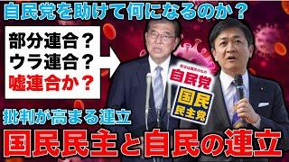 闇の連合！自民党と国民民主党。自民党を助ける玉木雄一郎代表の行動は許されるのか？元朝日新聞・記者佐藤章さんと一月万冊