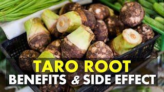 Taro Root Benefits and Side Effects | Health Benefits of Taro Root