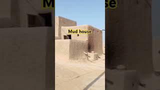 #mudhouses #villagelife #gaonkilife #villagelifeinindia #village #mudhouselifestyle #mittikeghar