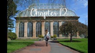 Chapter 12: Update und neue Wohnung