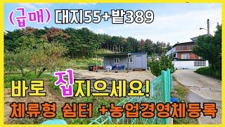 1521 (추천) 월포해수욕장 10분거리 전기.수도.정화조와 농막이 있는 체류형 쉼터가 딱! 포항부동산 포항전원주택 @강산부동산TV