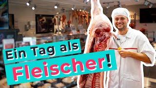 Ausbildung zum Fleischer / Metzger | Zwischen Schwein & Steak - Lohnt sich das? | Was machst Du so?