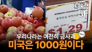 [매경5F] 미국은 개당 1000원대, 우리나라는 여전히 금사과