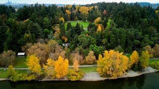 Stunning Fall Colors Over Seward Park | 4K Cinematic