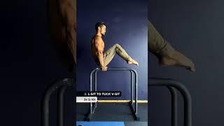  How To V-SIT (Full Workout)