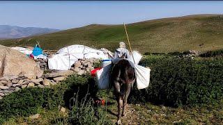 The nomadic lifestyle in Iran|Iranian nomads' girl adventure to get water