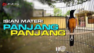 MURAI GACOR MATERI ISIAN MEWAH NEMBAK PANJANG PANJANG