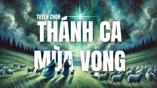 Thánh ca Mùa Vọng 2024 | Playlist tuyển chọn