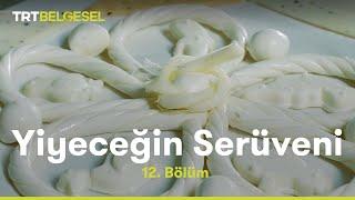 Peynir | Yiyeceğin Serüveni | TRT Belgesel