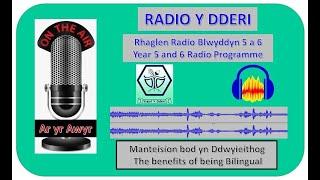 RADIO Y DDERI  - Bl Yr 5/6 Manteision bod yn Ddwyieithog / The Benefits of Being Bilingual