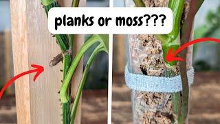 are moss poles and wood planks the same?