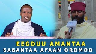 EOTC TV | SAGANTAA AFAAN OROMOO | Eegduu Amantaa