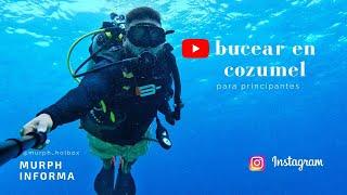 tour de buceo en Cozumel 4K /  sin tener que saber nadar.