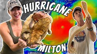 Saving Animals From a TORNADO and HURRICANE With @WillNace!