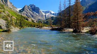 4K Delikatna górska rzeka na backcountry Montany | Woda brzmi biały szum | Sen i relaks