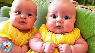 TOP FUNNIEST Twin & Triplet Babies of This Week - Funny Baby Videos | Big Baby