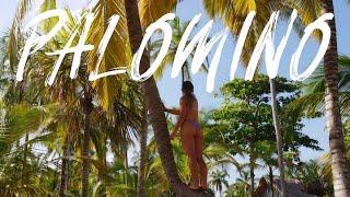 Exploring Colombia's Secret Wonderland - PALOMINO Travel Guide