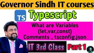 Typescript IT course what are variables, comments, and tsconfig.json 3rd class of IT (part 1) #viral