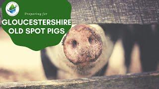 Preparing for Glocestershire Old Spot Pigs