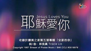 【耶穌愛你 Jesus Loves You】官方歌詞版MV (Official Lyrics MV) - 讚美之泉敬拜讚美 (5)