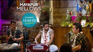 Mayapuris – Visvambhar Sheth, Krishna Kishora, Balaram Tirtha – Mayapur Mellows – 12th February 2023