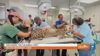 EXPLORING THE CALDWELL ZOO: See the on-site veterinary clinic