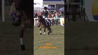 2018 A Golden Year for Harveywetdog; Festival of British Eventing dressage display