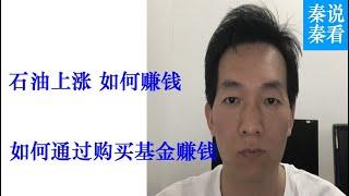 如何投资石油基金赚钱？韭菜的成长历史 不要错过的副业 摆烂也可以赚钱的被动收入