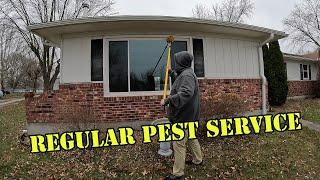 Exploring The Ultimate Pest Control Experience - Expectations From Top-notch Companies!