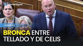 Dura BRONCA en el Congreso entre TELLADO y De Celis por el reglamento