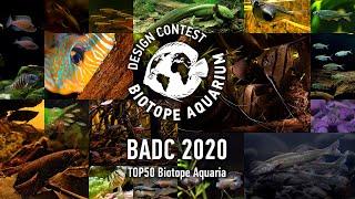 TOP50 Biotope Aquarium Design Contest #BADC2020