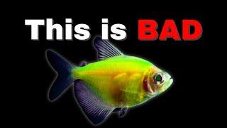 Why I Don't Like GLOFISH